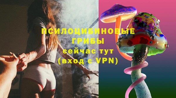 эйфоретик Аркадак