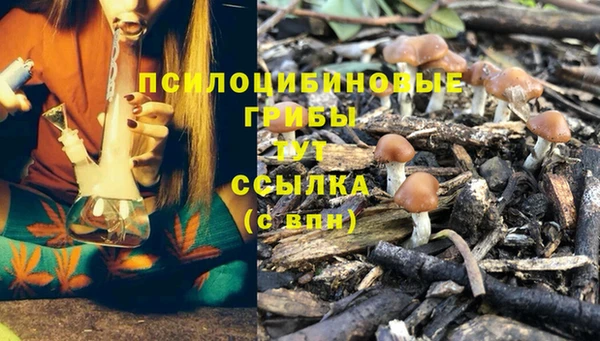 эйфоретик Аркадак