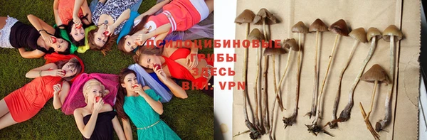 скорость Арсеньев