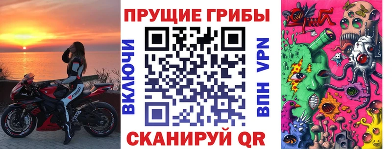 Псилоцибиновые грибы мицелий  Ставрополь 